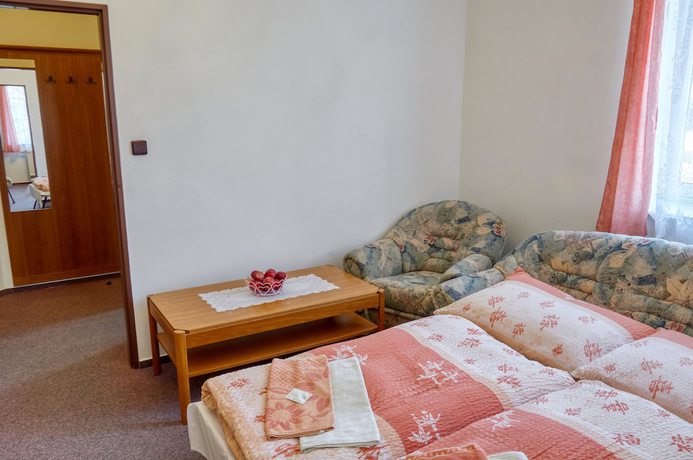 Imagen de la habitación del Hotel Alf, Borovany. Foto 14