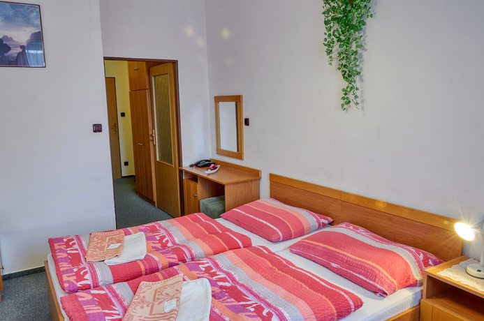 Imagen de la habitación del Hotel Alf, Borovany. Foto 16