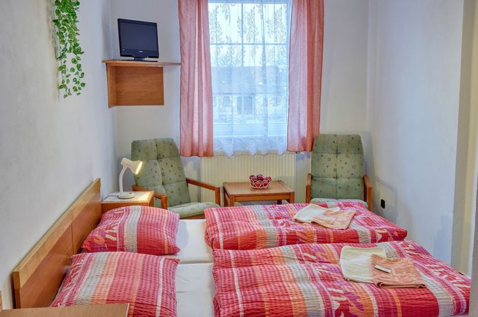 Imagen de la habitación del Hotel Alf, Borovany. Foto 19