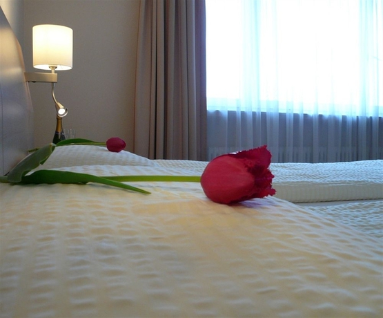 Imagen de la habitación del Hotel Alfa, BIRSFELDEN-BASILEA. Foto 7