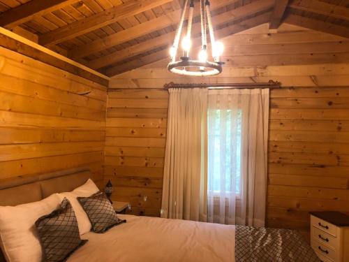 Imagen general del Hotel Alfa Suites&spa. Foto 4