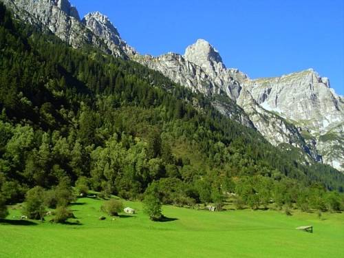 Imagen de la habitación del Hotel Alfaierhof-bergheimat. Foto 3