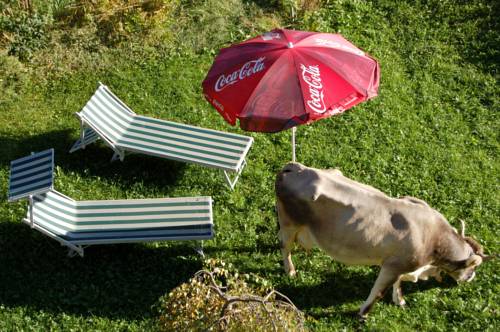 Imagen de la habitación del Hotel Alfaierhof-bergheimat. Foto 4