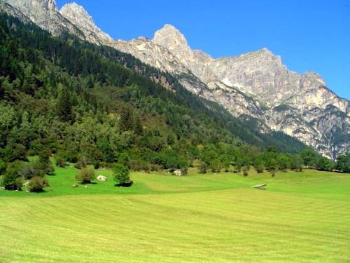 Imagen de la habitación del Hotel Alfaierhof-bergheimat. Foto 16