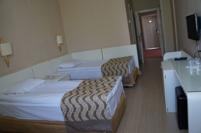 Imagen de la habitación del Hotel Alfin Ankara. Foto 8