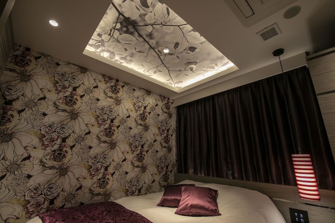 Imagen de la habitación del Hotel Alfit and Bar Akasaka. Foto 9