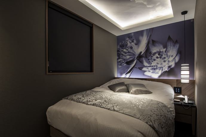 Imagen de la habitación del Hotel Alfit and Bar Akasaka. Foto 18