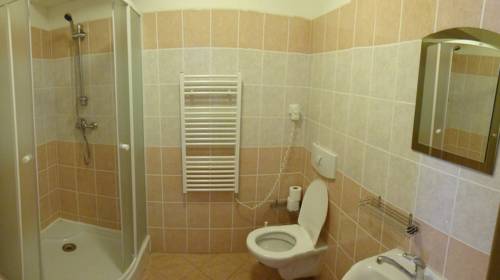 Imagen de la habitación del Hotel Alfonska. Foto 6
