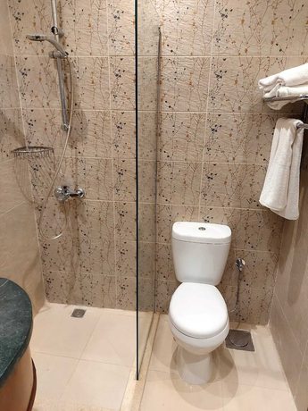 Imagen de la habitación del Hotel Alfouad Palace Hotel and Spa. Foto 6