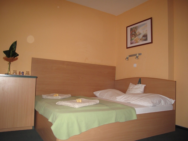 Imagen de la habitación del Hotel Alfr&eacute;d Panzi&oacute;. Foto 4