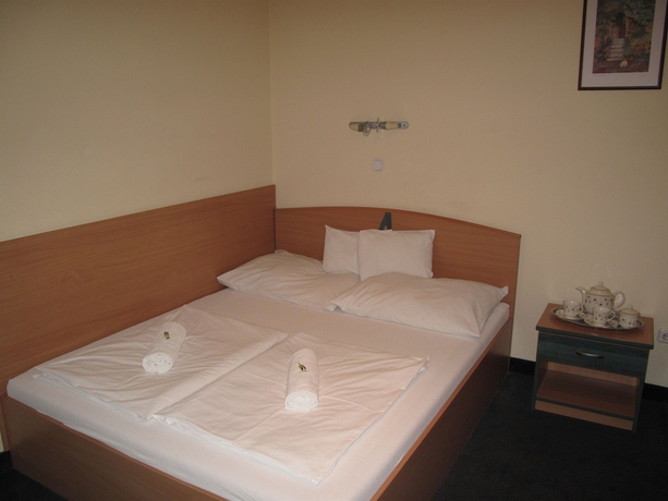 Imagen de la habitación del Hotel Alfr&eacute;d Panzi&oacute;. Foto 6