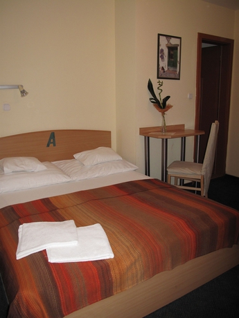 Imagen de la habitación del Hotel Alfr&eacute;d Panzi&oacute;. Foto 7