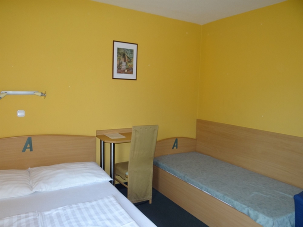 Imagen de la habitación del Hotel Alfr&eacute;d Panzi&oacute;. Foto 8