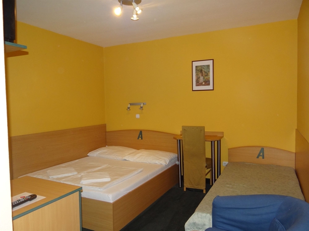 Imagen de la habitación del Hotel Alfr&eacute;d Panzi&oacute;. Foto 9