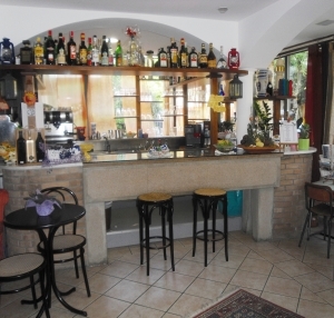 Imagen general del Hotel Alfredo's. Foto 6