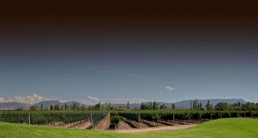 Imagen de los exteriores del Hotel Algodon Wine Estates and Champions Club. Foto 8