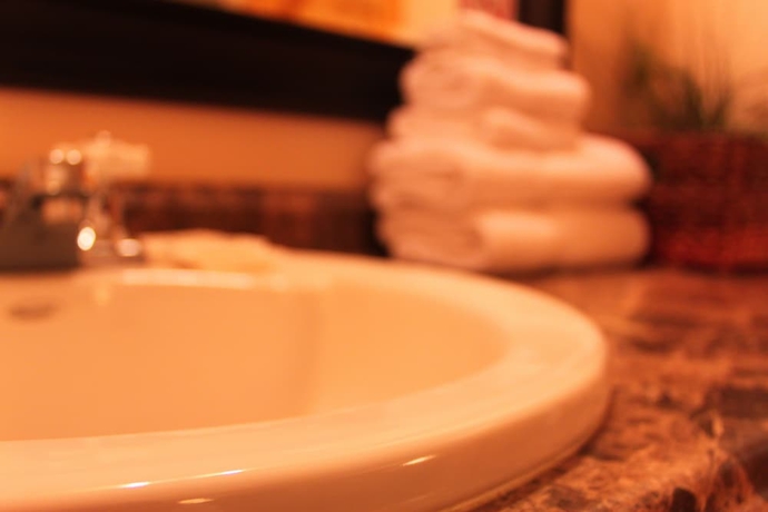 Imagen de la habitación del Hotel Algoma Motel. Foto 11