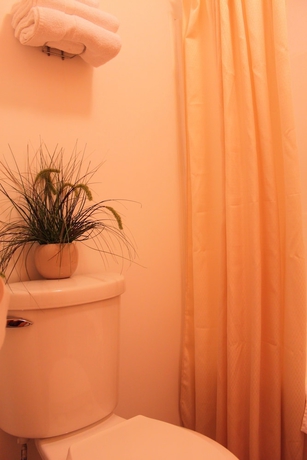 Imagen de la habitación del Hotel Algoma Motel. Foto 16