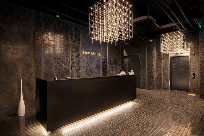 Imagen de los interiores del Hotel Alice and Trunk. Foto 19