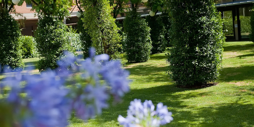 Imagen de los exteriores del Hotel Alimara. Foto 5