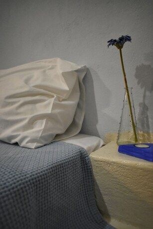 Imagen general del Hotel Alisahni. Foto 11