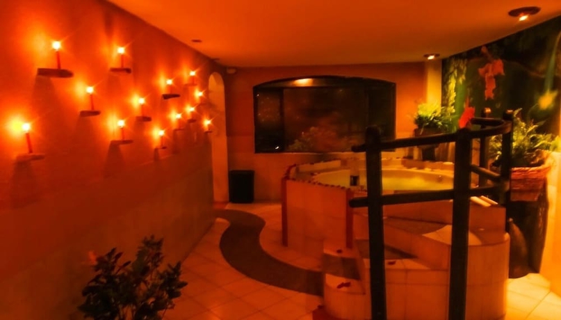 Imagen de la piscina del Hotel Alisamay. Foto 17