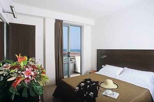 Imagen general del Hotel Alisei Palace. Foto 14