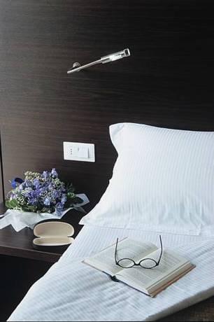 Imagen general del Hotel Alisei Palace. Foto 15