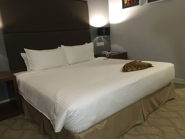 Imagen de los interiores del Hotel Aliya Klang. Foto 17