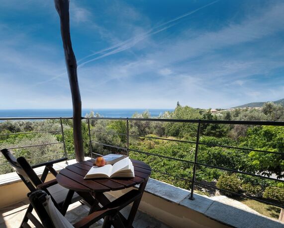 Imagen general del Hotel Alkifron Kala Nera. Foto 9