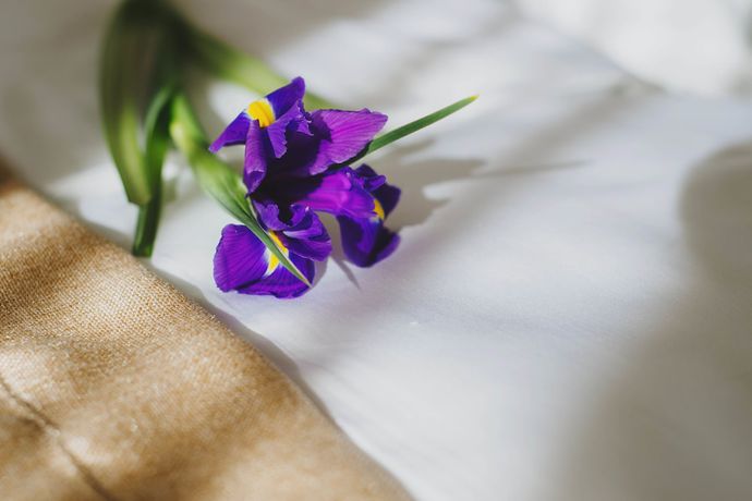 Imagen de la habitación del Hotel Alkor. Foto 5