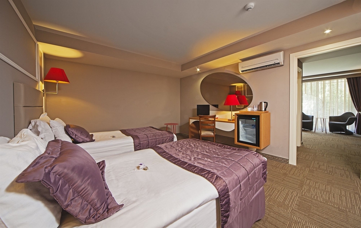 Imagen de la habitación del Hotel All Seasons. Foto 10