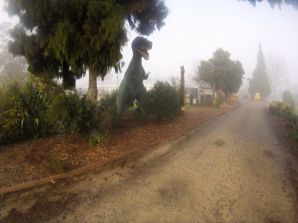 Imagen de los interiores del Hotel All Seasons Holiday Park. Foto 18