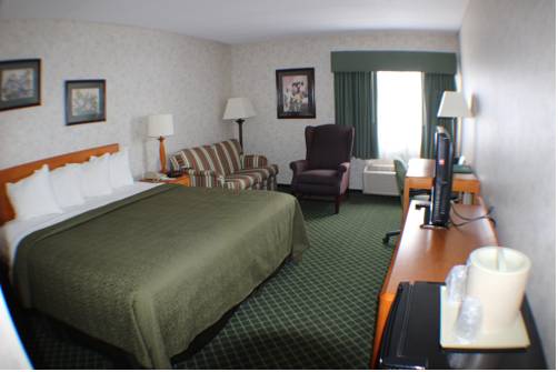 Imagen de la habitación del Hotel All Seasons Inn and Suites. Foto 2