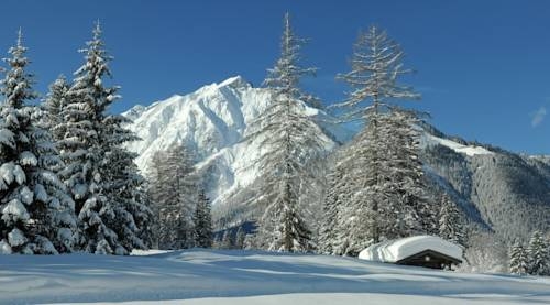 Imagen general del Hotel All Suite Hotel Garni Leithner. Foto 4