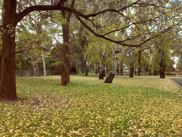 Imagen general del Hotel Allara Motor Lodge. Foto 6