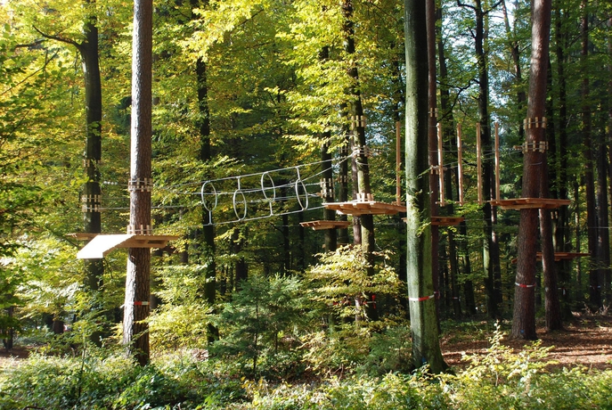 Imagen general del Hotel Allegra Lodge. Foto 3