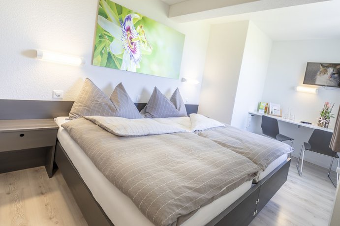 Imagen de la habitación del Hotel Allegro Einsiedeln. Foto 2