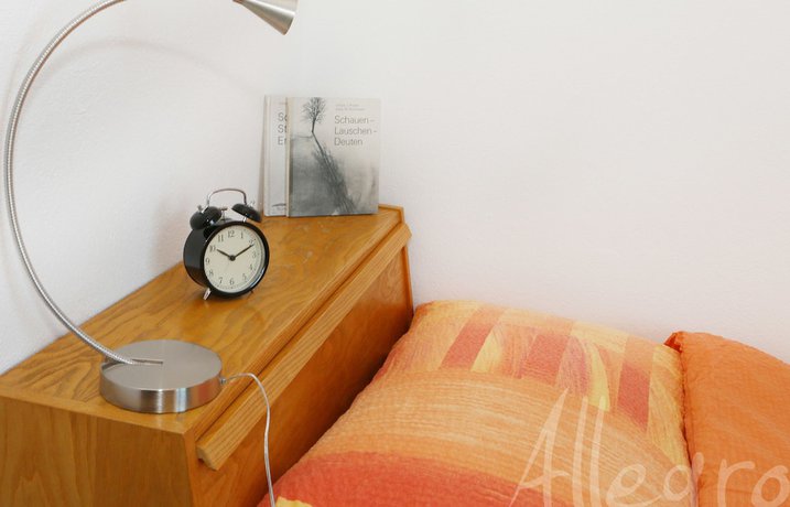 Imagen de la habitación del Hotel Allegro Einsiedeln. Foto 13