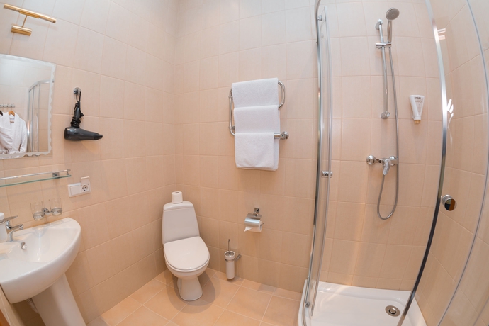 Imagen de la habitación del Hotel Allegro Ligovsky Prospect. Foto 11