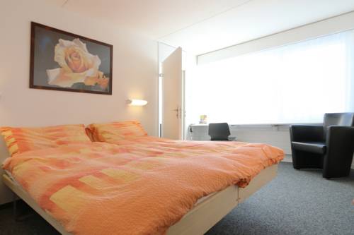 Imagen de la habitación del Hotel Allegro Superior. Foto 7