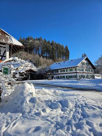 Imagen general del Hotel Allg&auml;u Residenz Natur & Spa GmbH. Foto 15