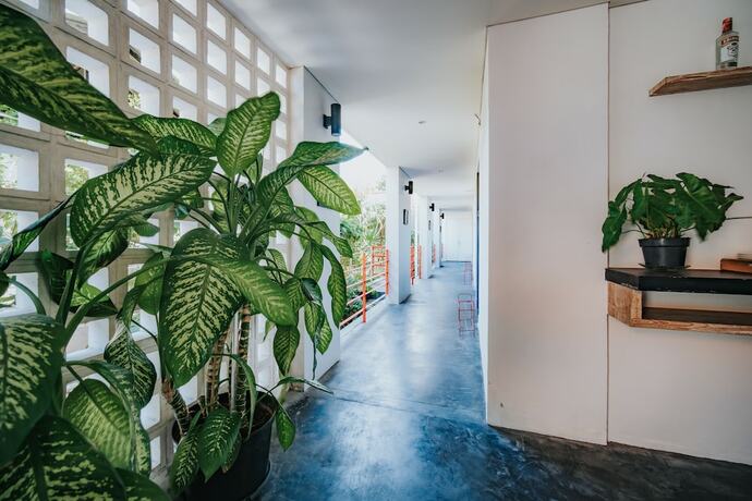 Imagen general del Hotel Allia Residence Nusa Dua. Foto 15
