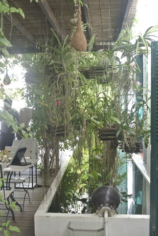 Imagen general del Hotel Alliance Aliz&eacute; Boutique Villa. Foto 2