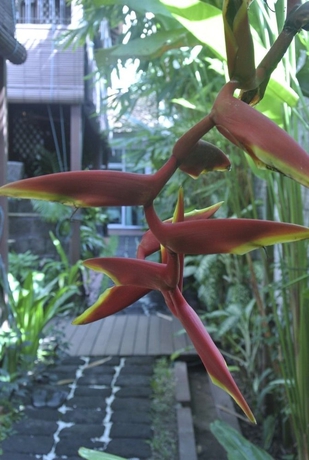 Imagen general del Hotel Alliance Aliz&eacute; Boutique Villa. Foto 3