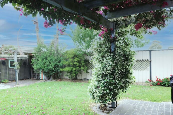 Imagen general del Hotel Alloway. Foto 16