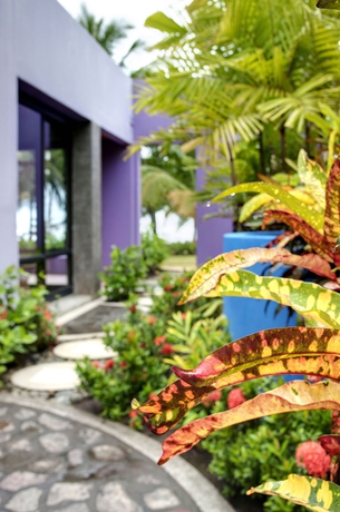 Imagen de los exteriores del Hotel Alma Del Pacifico Beach and Spa. Foto 15