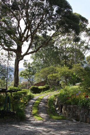 Imagen general del Hotel Alma Nativa. Foto 11