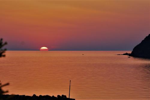 Imagen general del Hotel Alma, PETRA. Foto 2