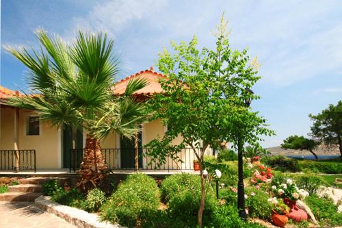 Imagen general del Hotel Alma, PETRA. Foto 4